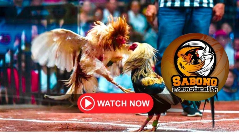 infinity 88bet how to play live bet on bet9ja